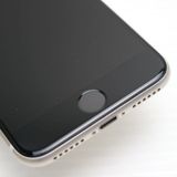 ¿ݾ Ʊ SIMե꡼ iPhone SE3 3 256GB 饤