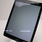 �¿��ݾ��� Ķ���� iPad Air Wi-Fi 128GB ���ڡ������쥤  �������