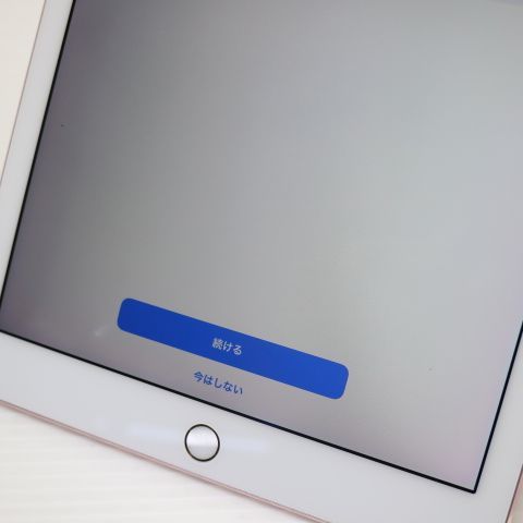 �¿��ݾ� Ķ���� iPad Pro 9.7����� Wi-Fi 128GB �������������