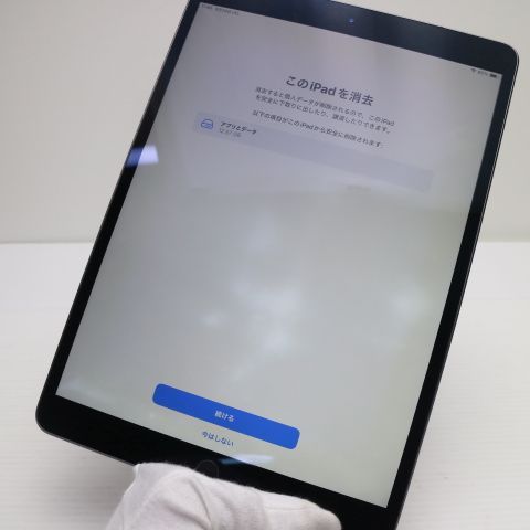 ������� SIM�ե꡼ iPad Air 3 Cellular  64GB  ���ڡ������쥤