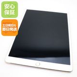 �¿��ݾ� Ķ���� iPad Pro 10.5����� Wi-Fi 512GB ������� ����