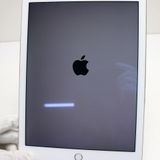 �¿��ݾ��� Ķ���� docomo iPad Air 2 Cellular  16GB �������