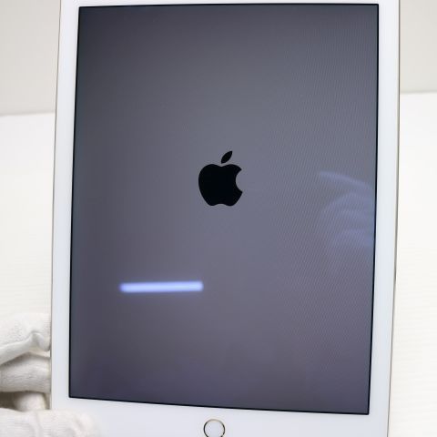 �¿��ݾ��� Ķ���� docomo iPad Air 2 Cellular  16GB �������