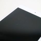 ���� SIM�ե꡼ iPad mini 5 Wi-Fi+����顼  256GB ����С�
