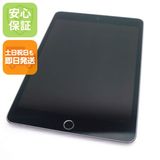 ���� iPad mini 5 Wi-Fi 256GB ���ڡ������쥤