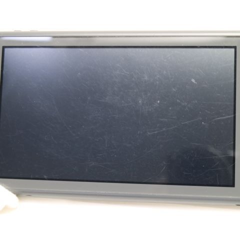�¿��ݾ� ������� Nintendo Switch Lite ���졼
