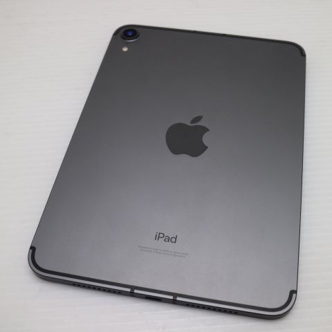Ķ���� SIM�ե꡼ iPad mini ��6����  Wi-Fi+����顼 64GB ���ڡ������쥤