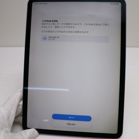Ķ���� SIM�ե꡼ iPad Pro 11����� Wi-Fi+����顼  256GB