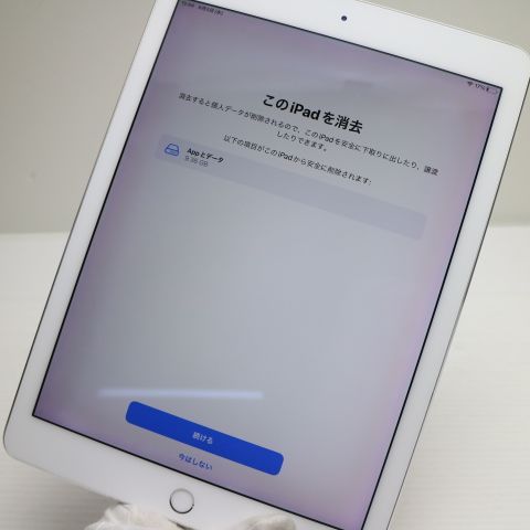 �¿��ݾ� Ķ���� iPad Pro 9.7����� Wi-Fi 32GB ����С� ����