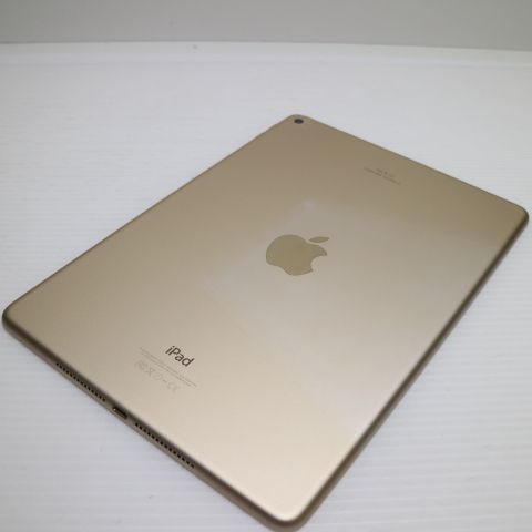 �¿��ݾ��� ���� iPad Air 2 Wi-Fi 64GB �������  �������