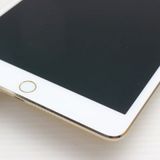 ��� SIM�ե꡼ iPad mini 4 Cellular ����顼 16GB �������