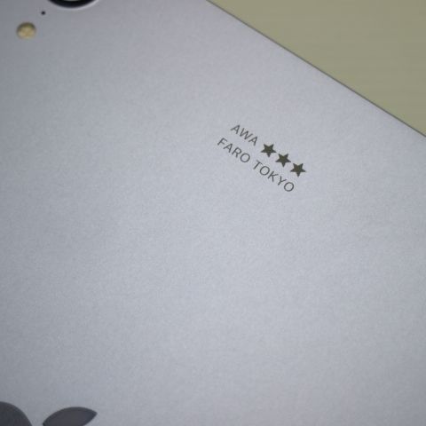 �¿��ݾڿ���Ʊ��SIM�ե꡼iPadmini��6����Wi-Fi+Cellular256GB�ѡ��ץ�