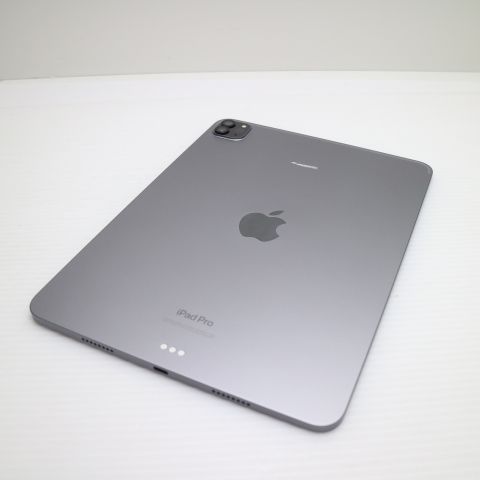�¿��ݾ� Ķ���� iPad Pro ��4���� 11����� 256GB ���ڡ������쥤