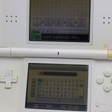 �¿��ݾ��� ������� �˥�ƥ�ɡ�DS Lite �饤�� �ۥ磻��  �������