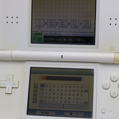 �¿��ݾ��� ������� �˥�ƥ�ɡ�DS Lite �饤�� �ۥ磻��  �������