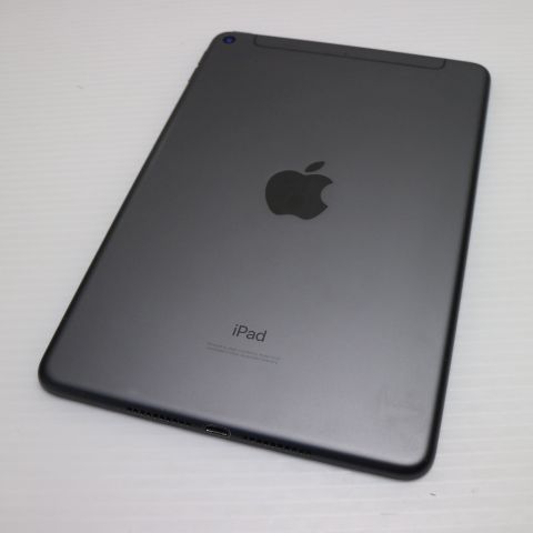  SIMե꡼ iPad mini 5 256GB ڡ쥤