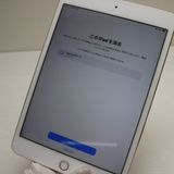 �¿��ݾ��� Ķ���� iPad mini 4 Wi-Fi 16GB �������  �������