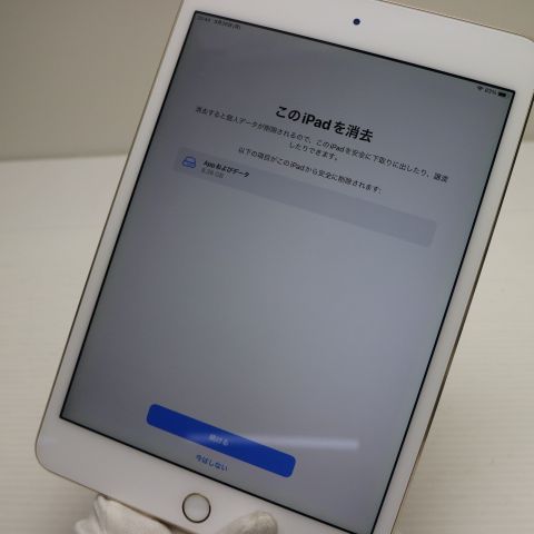 �¿��ݾ��� Ķ���� iPad mini 4 Wi-Fi 16GB �������  �������