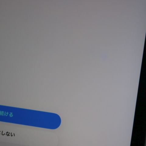 �¿��ݾ� ���� SIM�ե꡼ ��9���� Wi-Fi+Cellular 256GB ���ڡ������쥤