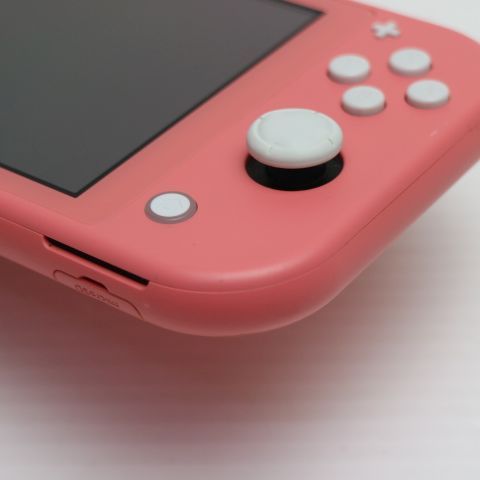 �¿��ݾ� ���� Nintendo Switch Lite �������