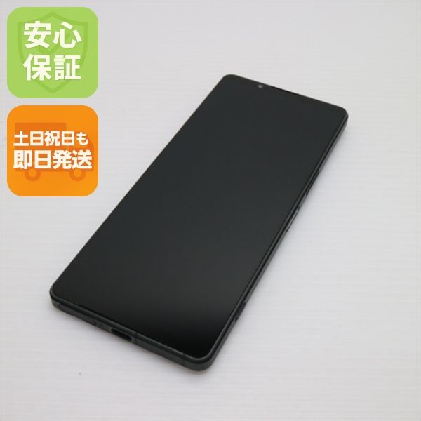 ¿ݾ  Xperia 1 V XQ-DQ44 ֥å