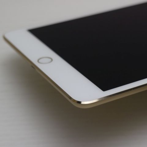 �¿��ݾ��� Ķ���� iPad mini 4 Wi-Fi 128GB �������  �������