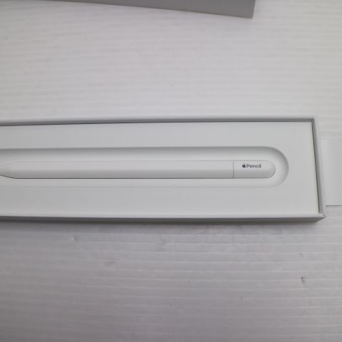 �¿��ݾ� ����̤���� Apple Pencil USB-C �ۥ磻��