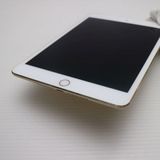 �¿��ݾ��� Ķ���� SIM�ե꡼ iPad mini 4 Cellular  64GB �������