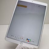�¿��ݾ� Ķ���� SIM�ե꡼ iPad Air 3 ����顼 64GB  ����С�