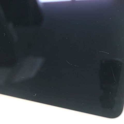 �¿��ݾ� ���� iPad Air ��4���� Wi-Fi 64GB ���ڡ������쥤 ������ȯ��