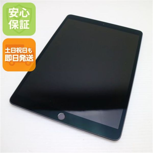 �¿��ݾ� Ķ���� iPad Air 3 wi-fi��ǥ� 256GB  ���ڡ������쥤