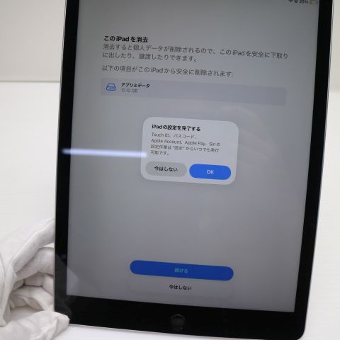 �¿��ݾ� Ķ���� SIM�ե꡼ iPad9 Wi-Fi+Cellular 256GB ����С�