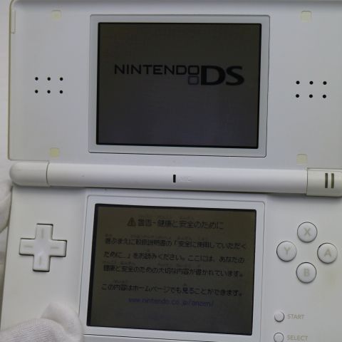 �¿��ݾ��� ���� �˥�ƥ�ɡ�DS Lite �饤�� �ۥ磻��  �������