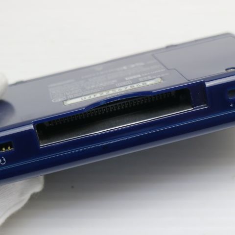 �¿��ݾ��� ������� �˥�ƥ�ɡ�DS Lite �饤�� �ͥ��ӡ�  �������