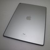 �¿��ݾ��� ���� iPad Pro 12.9����� Wi-Fi 128GB ����С�  �������