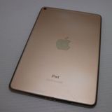  SIMե꡼ iPad mini 5 64GB 