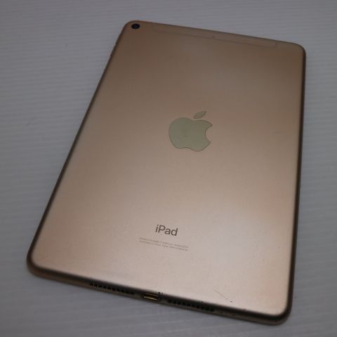  SIMե꡼ iPad mini 5 64GB 