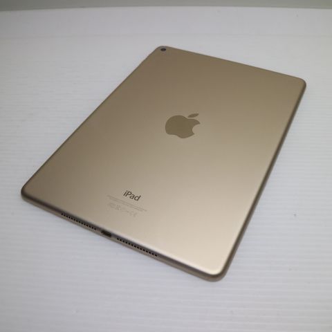 �¿��ݾ��� Ķ���� iPad Air 2 Wi-Fi 64GB �������  �������