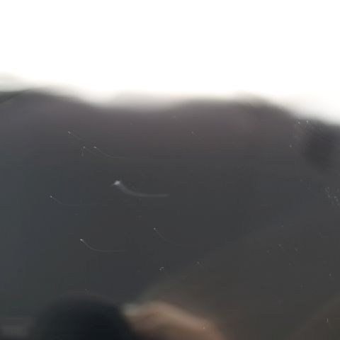 �¿��ݾ� ���� d-41A dtab �֥�å� �����