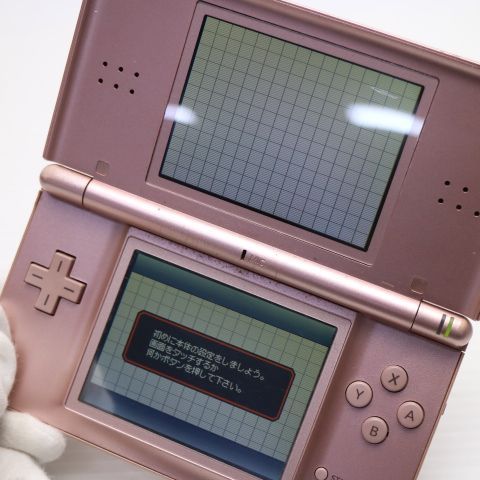 �¿��ݾ��� ������� �˥�ƥ�ɡ�DS Lite �饤�� ����  �������