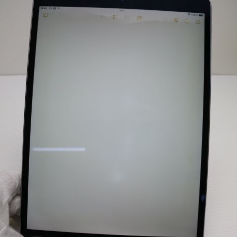 ¿ݾ  SIMե꡼ iPad Pro 10.5 64GB ڡ쥤