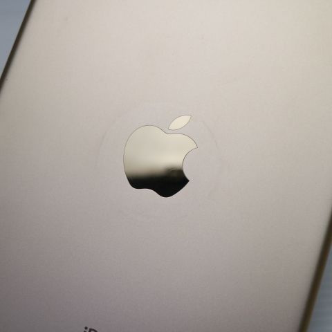 Ķ���� SIM�ե꡼ iPad mini 4 Cellular ����顼 128GB �������