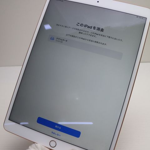 ¿ݾ Ķ iPad Air 3 wi-fiǥ 64GB  