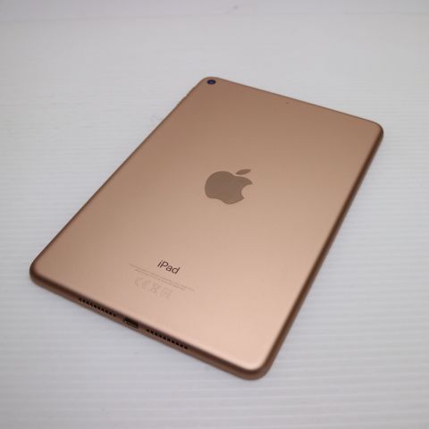 ����Ʊ�� iPad mini 5 Wi-Fi 64GB �������