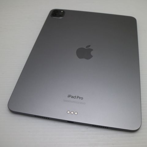 �¿��ݾ� Ķ���� iPad Pro ��4���� 11����� 256GB ���ڡ������쥤