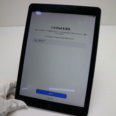 ¿ݾ Ķ iPad Pro 9.7 Wi-Fi 256GB ڡ쥤