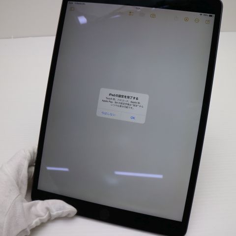 Ķ SIMե꡼ iPad Air 3 Cellular 64GB  ڡ쥤 