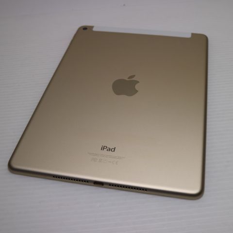 �¿��ݾ��� Ķ���� docomo iPad Air 2 Cellular 16GB �������