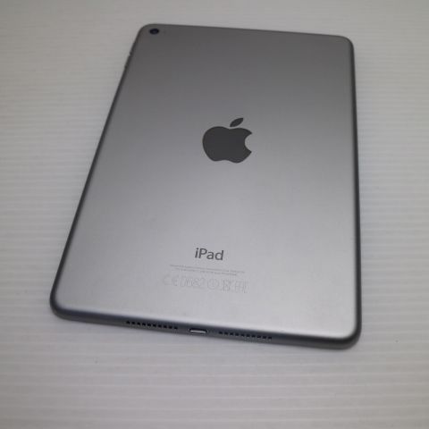 �¿��ݾ��� ������� iPad mini 4 Wi-Fi 128GB ���ڡ������쥤  �������