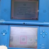 �¿��ݾ��� ������� �˥�ƥ�ɡ�DSi LL �֥롼  �������